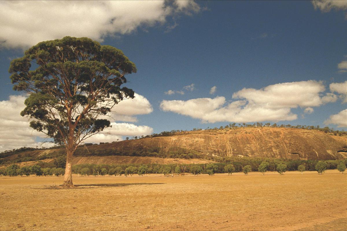 Mount Stirling, Quairading, Western Australia