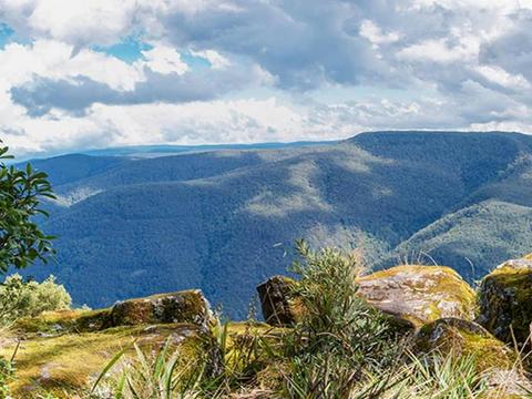 Barrington Tops National Park