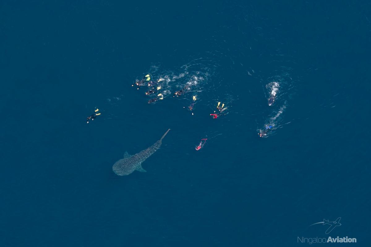 60 minute Ningaloo Explorer Flight