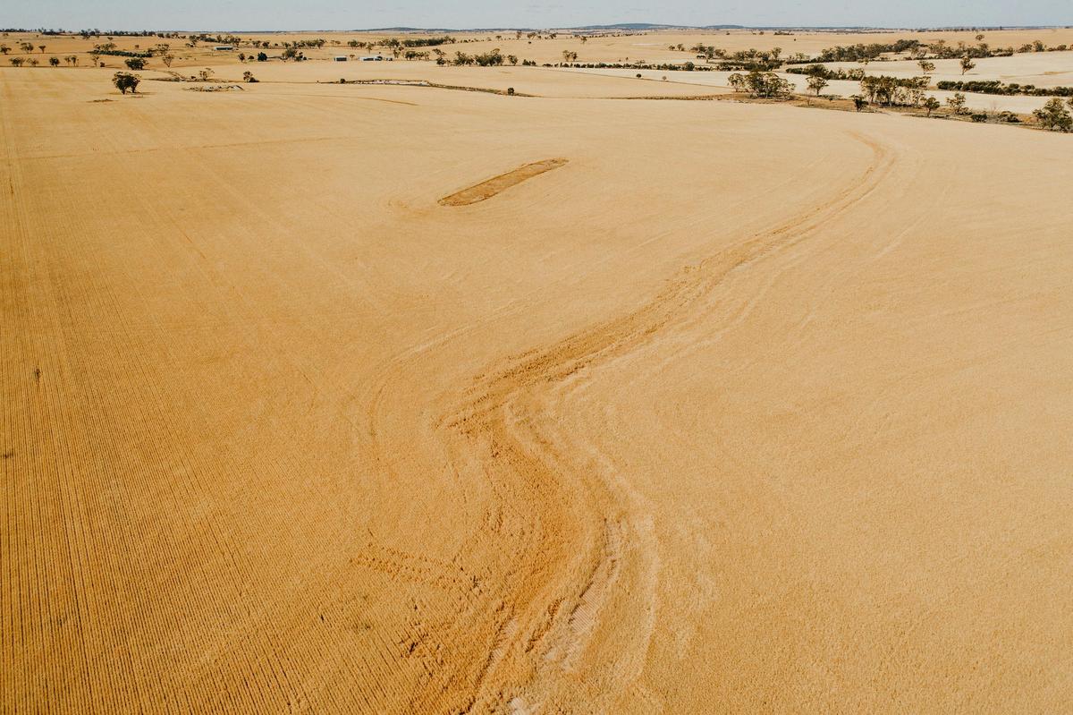Meckering Earthquake faultline, Meckering