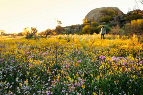 Merredin