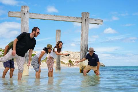 McLeod Tours