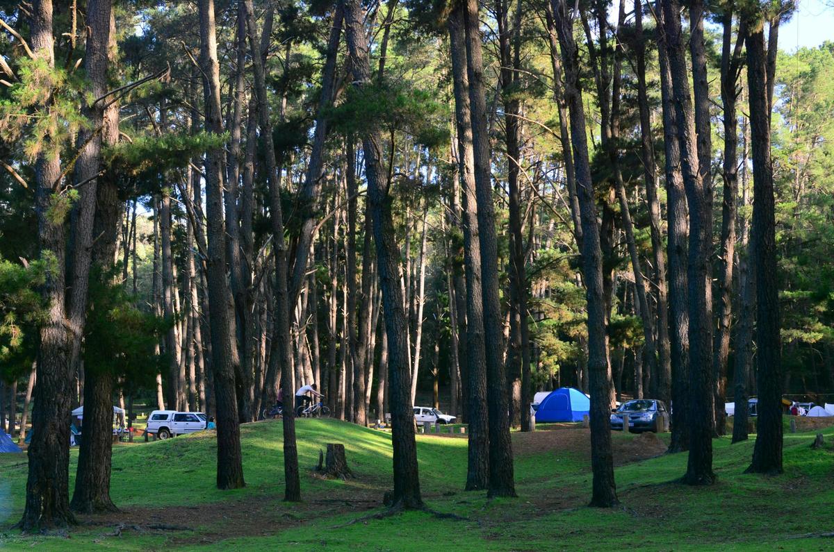 Nanga Mill Campground