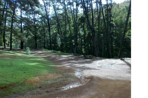 Campsite