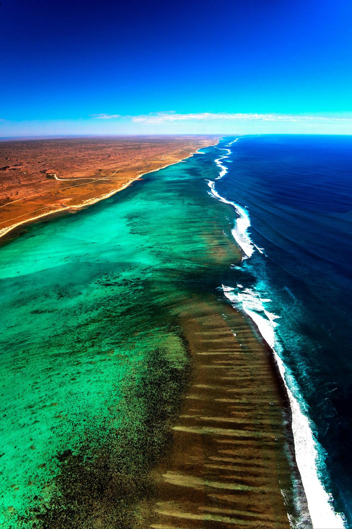 At 300 kilometres long, the Ningaloo Reef is the longest fringing coral reef in the world