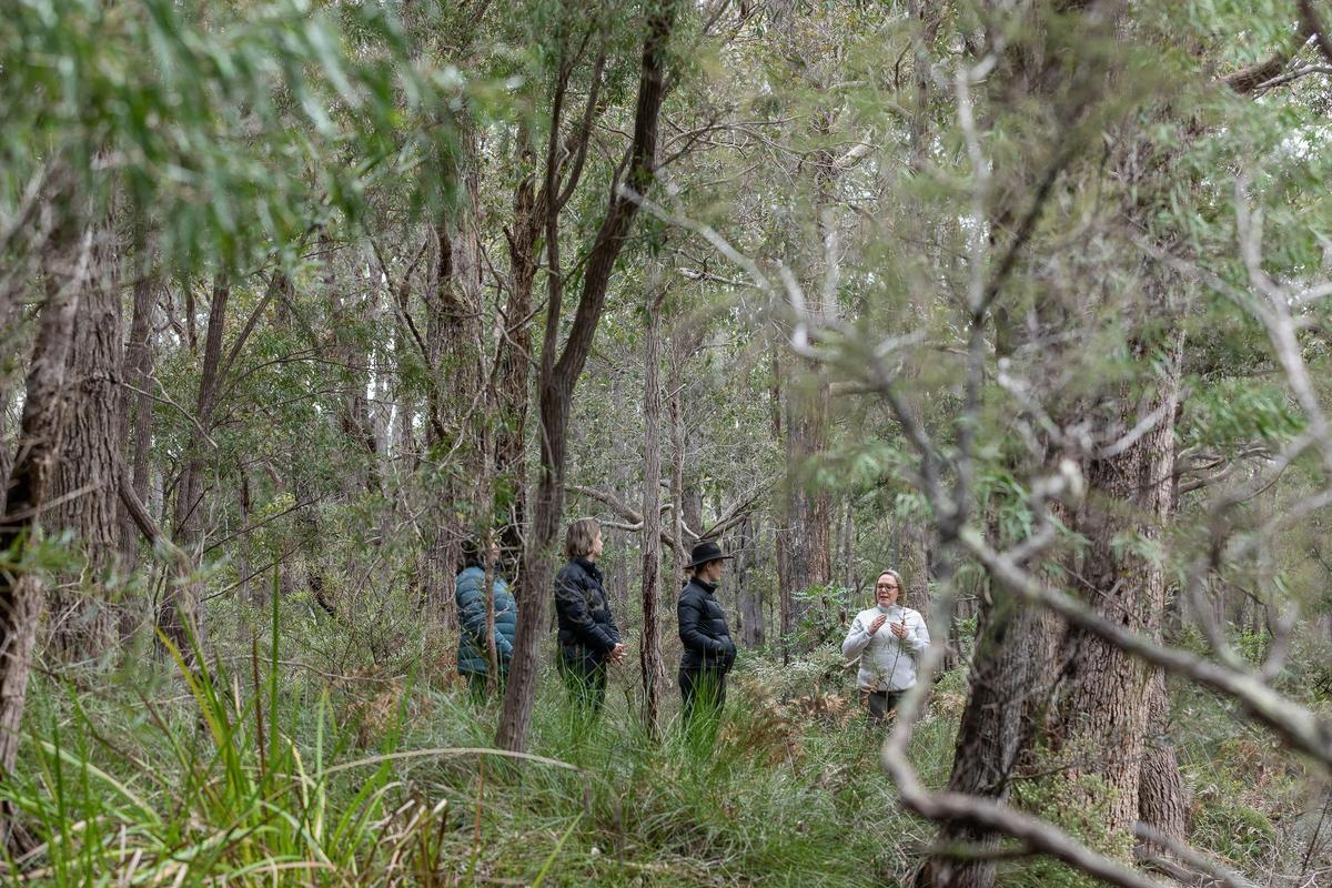 Forest Bathing Margaret River