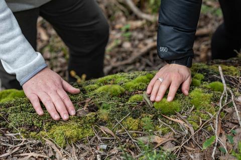 Forest Bathing Margaret River