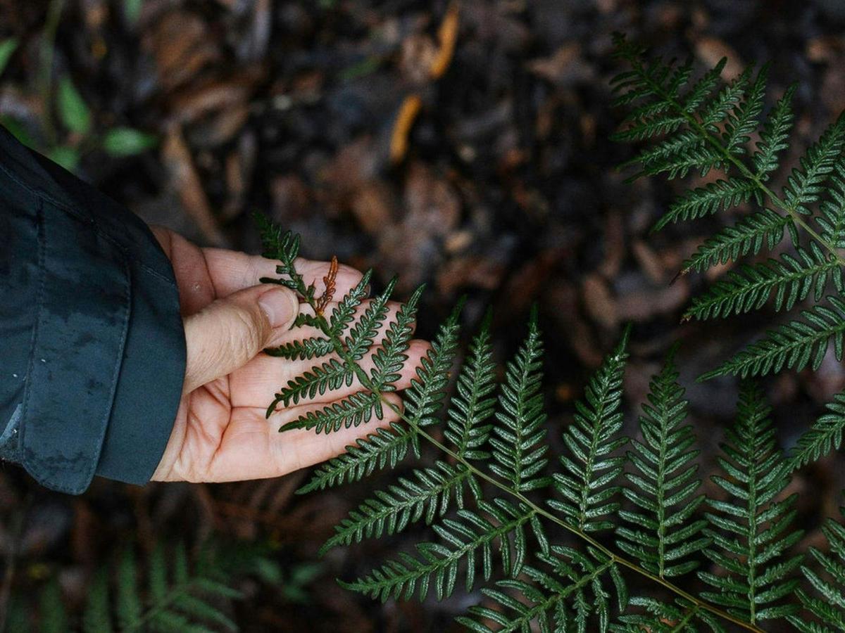 Mindful in Nature Tours - Margaret River