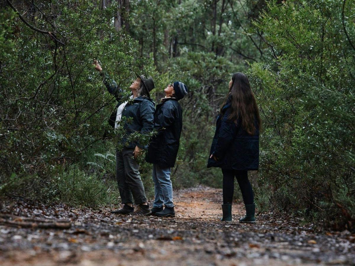 Mindful in Nature Tours - Margaret River