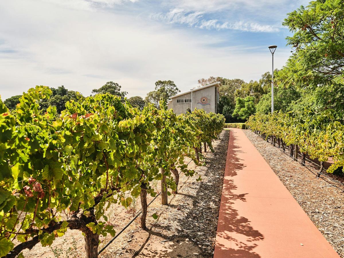 Maya Maya at Mandoon Estate, Swan Valley