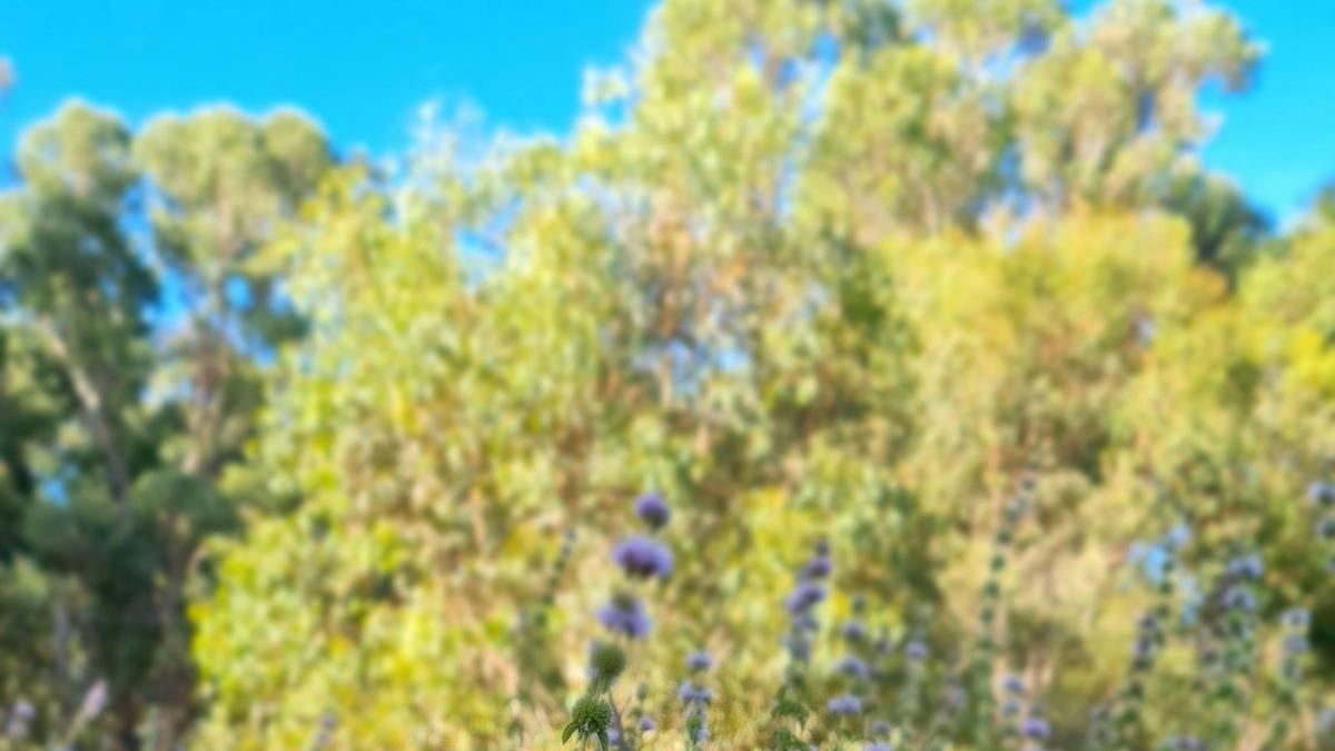 Nanga River Retreat