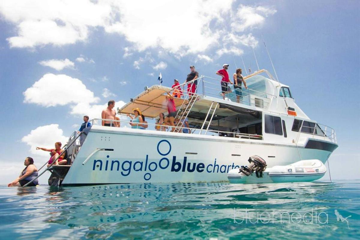 Private luxury tour, exploring the reef at your own pace