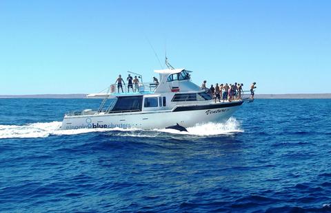 Private luxury tour, exploring the reef at your own pace