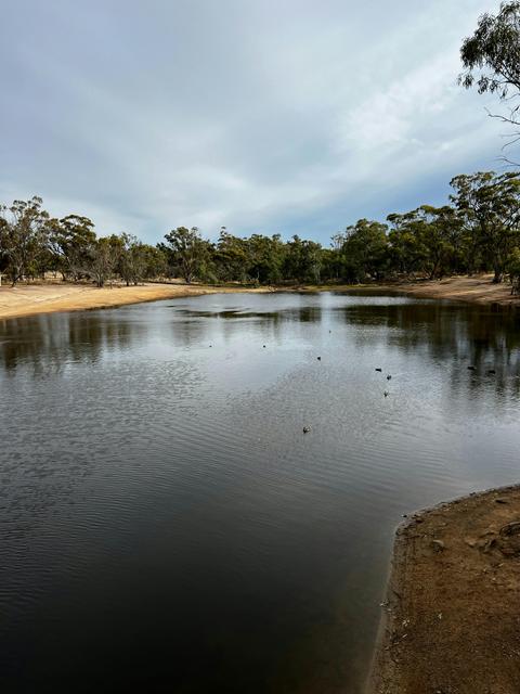 Narrogin RV Free Stay Area (Railway Dam)