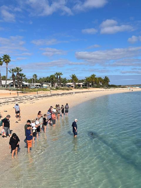 Monkey Mia Dolphin Day Tour From Perth