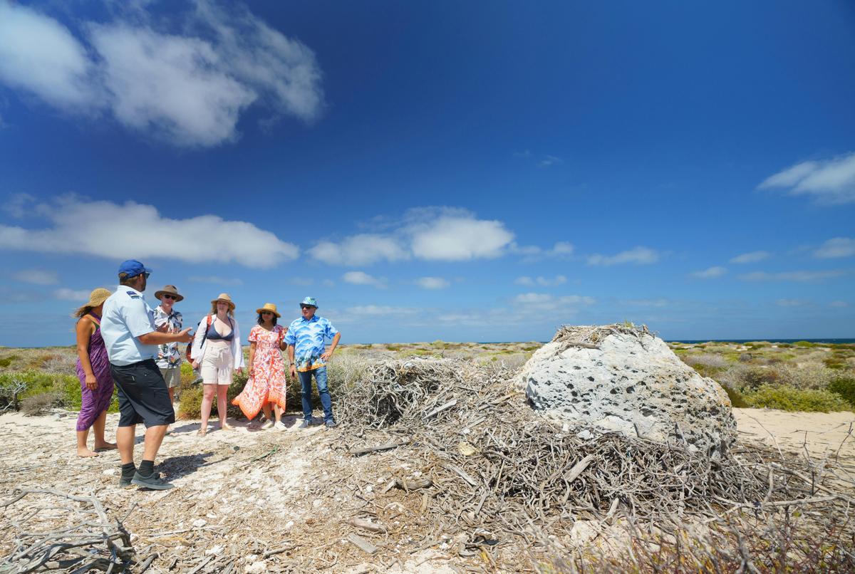 Abandoned Osprey nest at East Wallabi Island