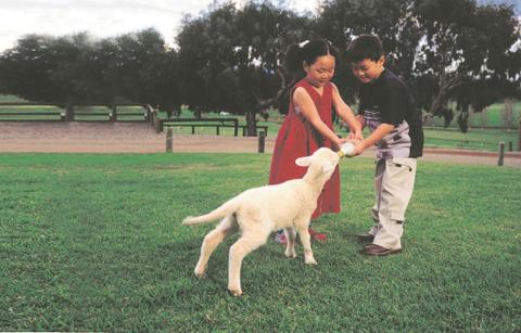 Mundijong