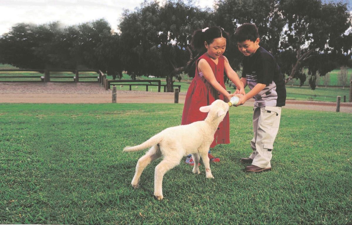 Mundijong