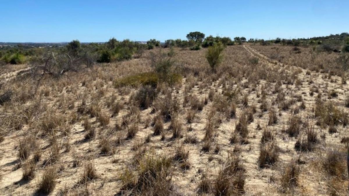 Neergabby Heights