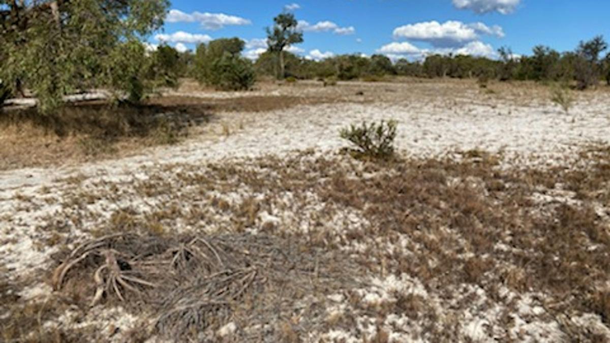 Neergabby Heights