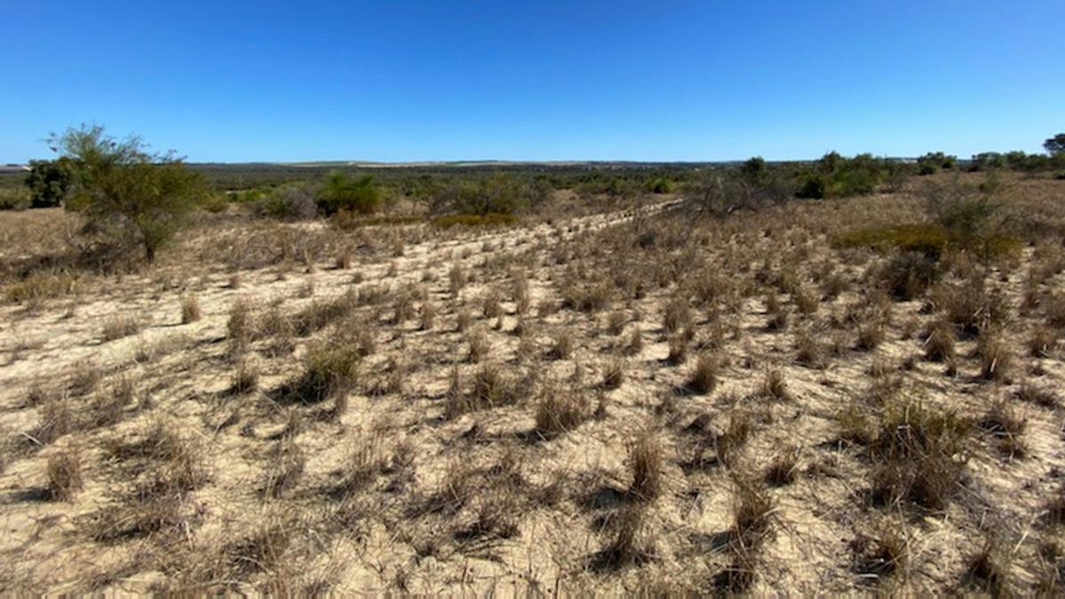 Neergabby Heights
