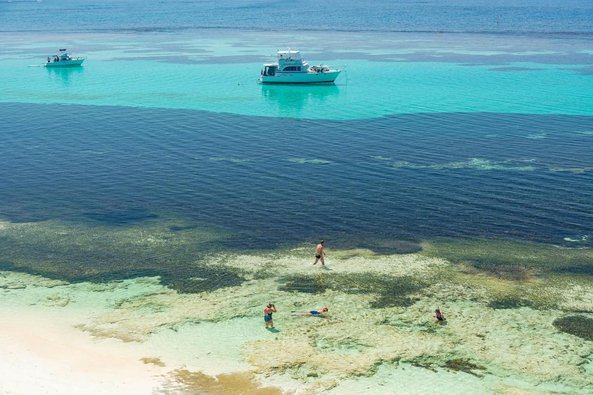 Aerial view of clear blue water and reef with some people snorkelling in the water.
