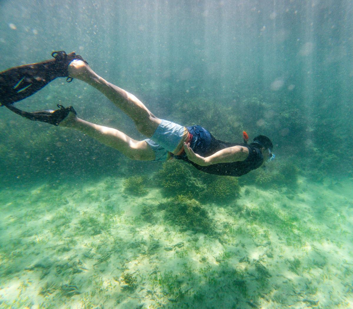 Coral Coast Explorer
