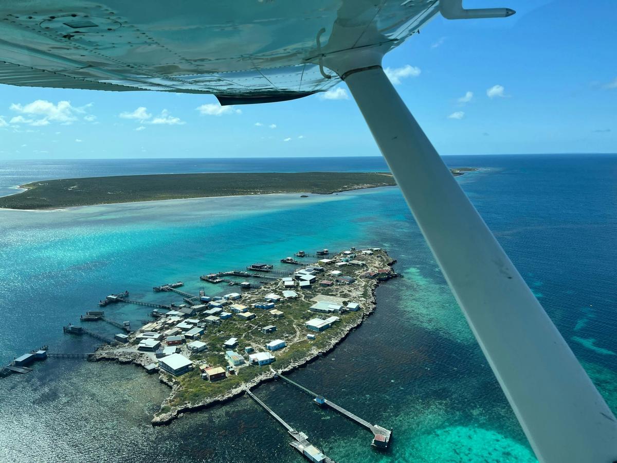 Abrolhos Island Discovery Full Day Tour From Geraldton