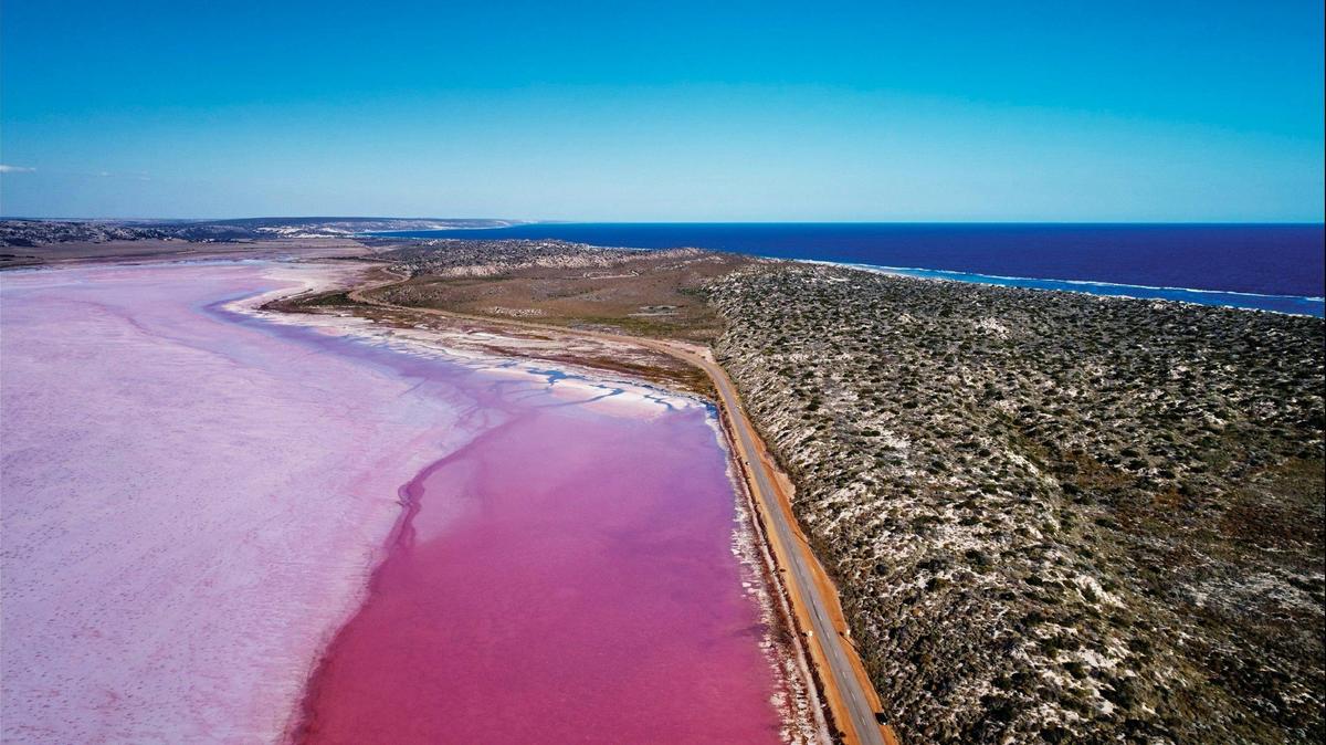 Abrolhos Islands & Pink Lake Flyover From Geraldton