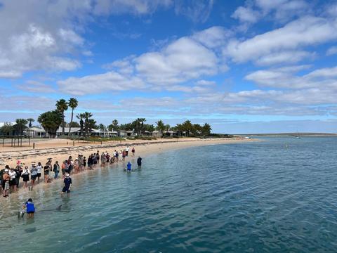Monkey Mia Dolphin Spectacular Full Day Tour with Pink Lake From Geraldton