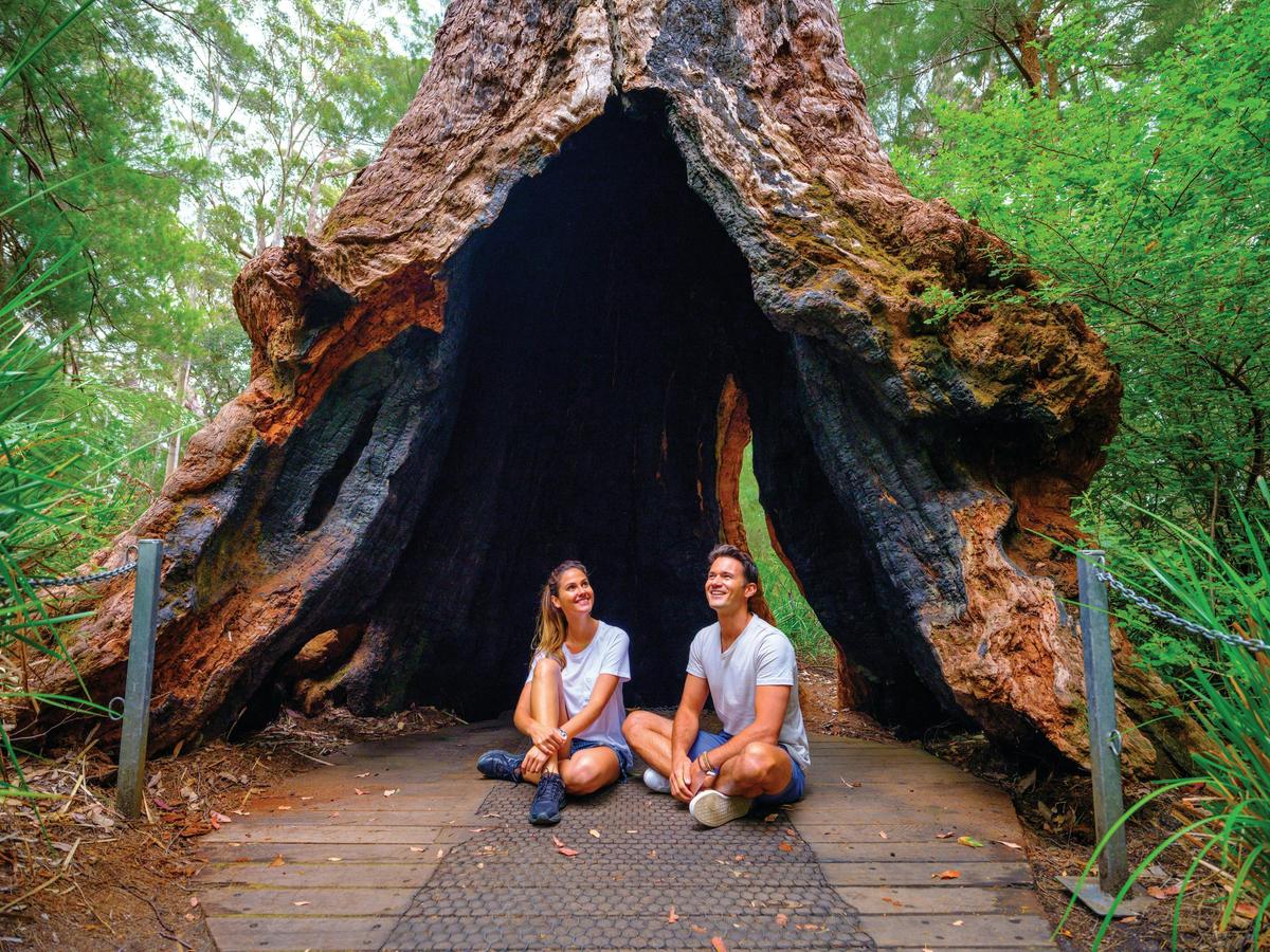 Ancient Empire walk trail, Walpole-Nornalup National Park