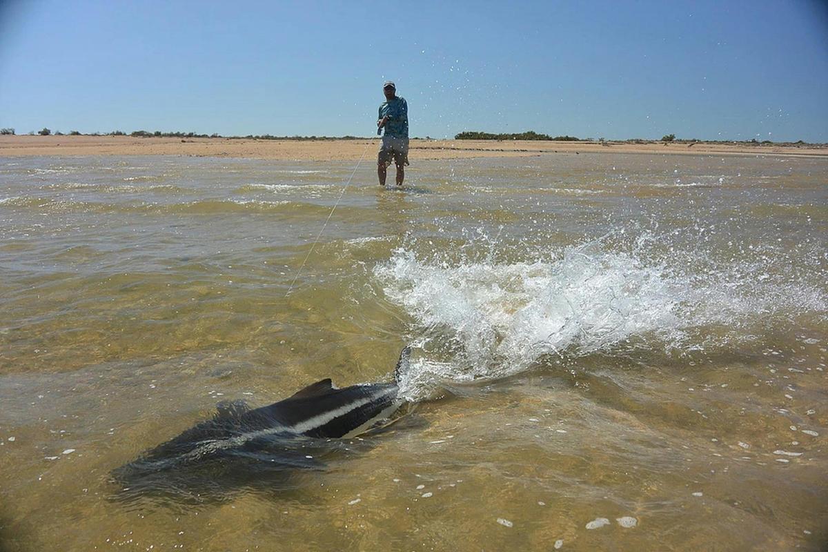 Ningaloo Fly Fishing
