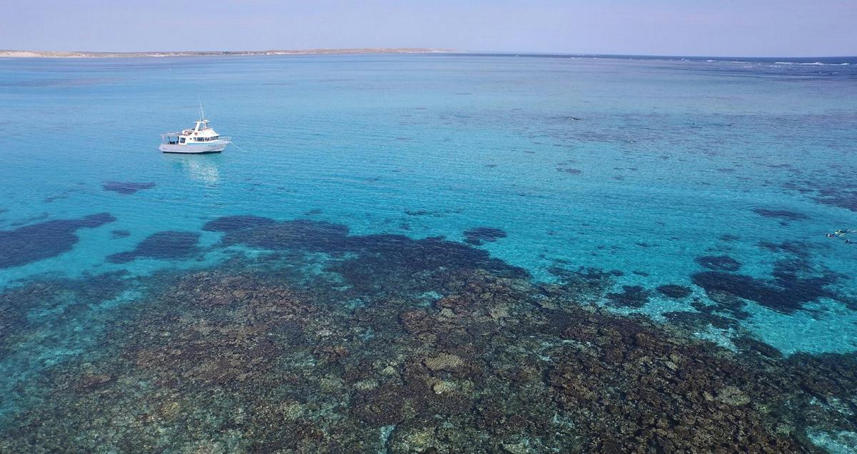 Ningaloo Marine Interactions