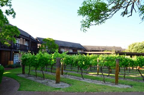 Novotel Vines Resort