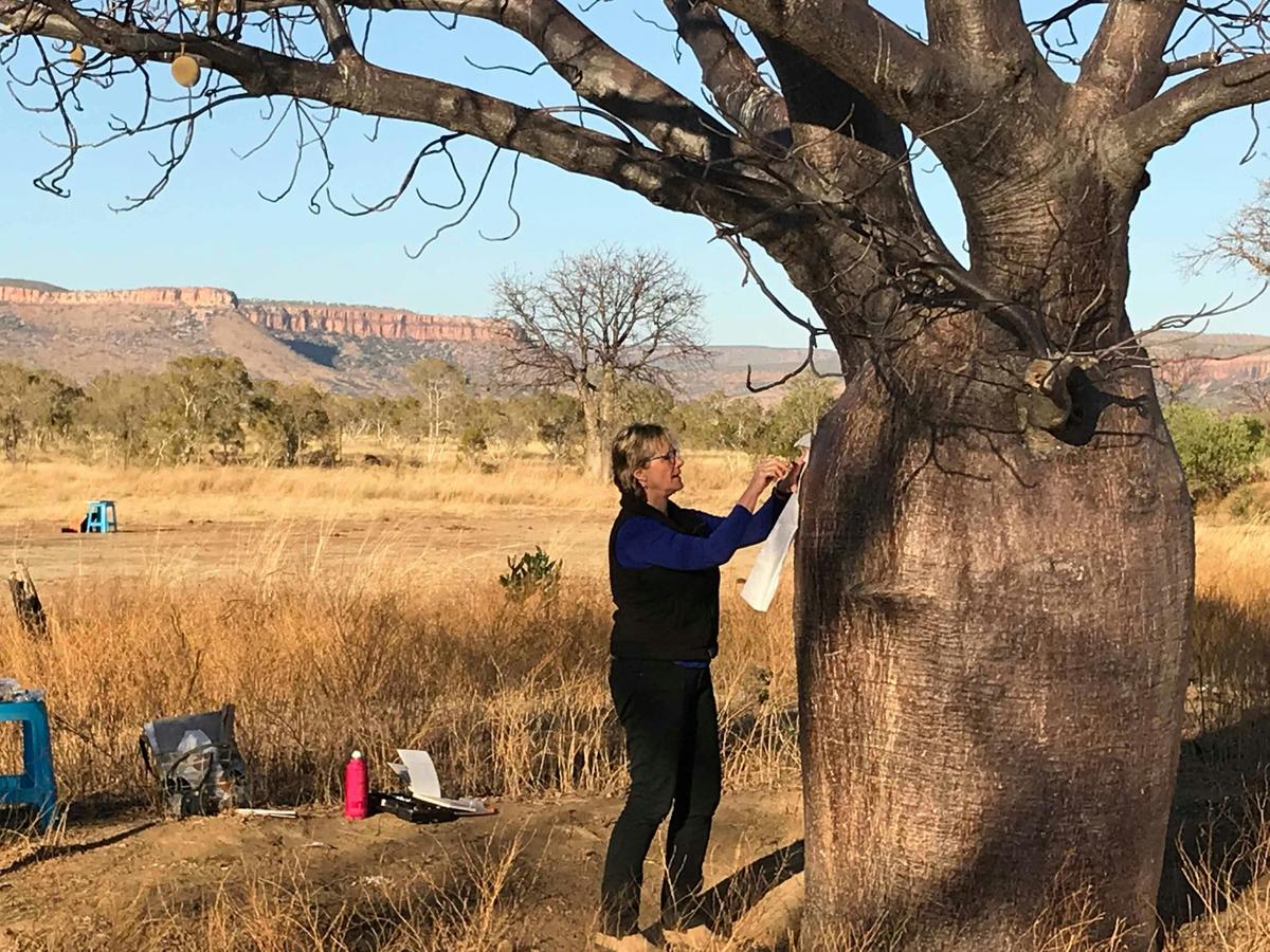 ​Kimberley Painting Workshop with Debbie Mackinnon