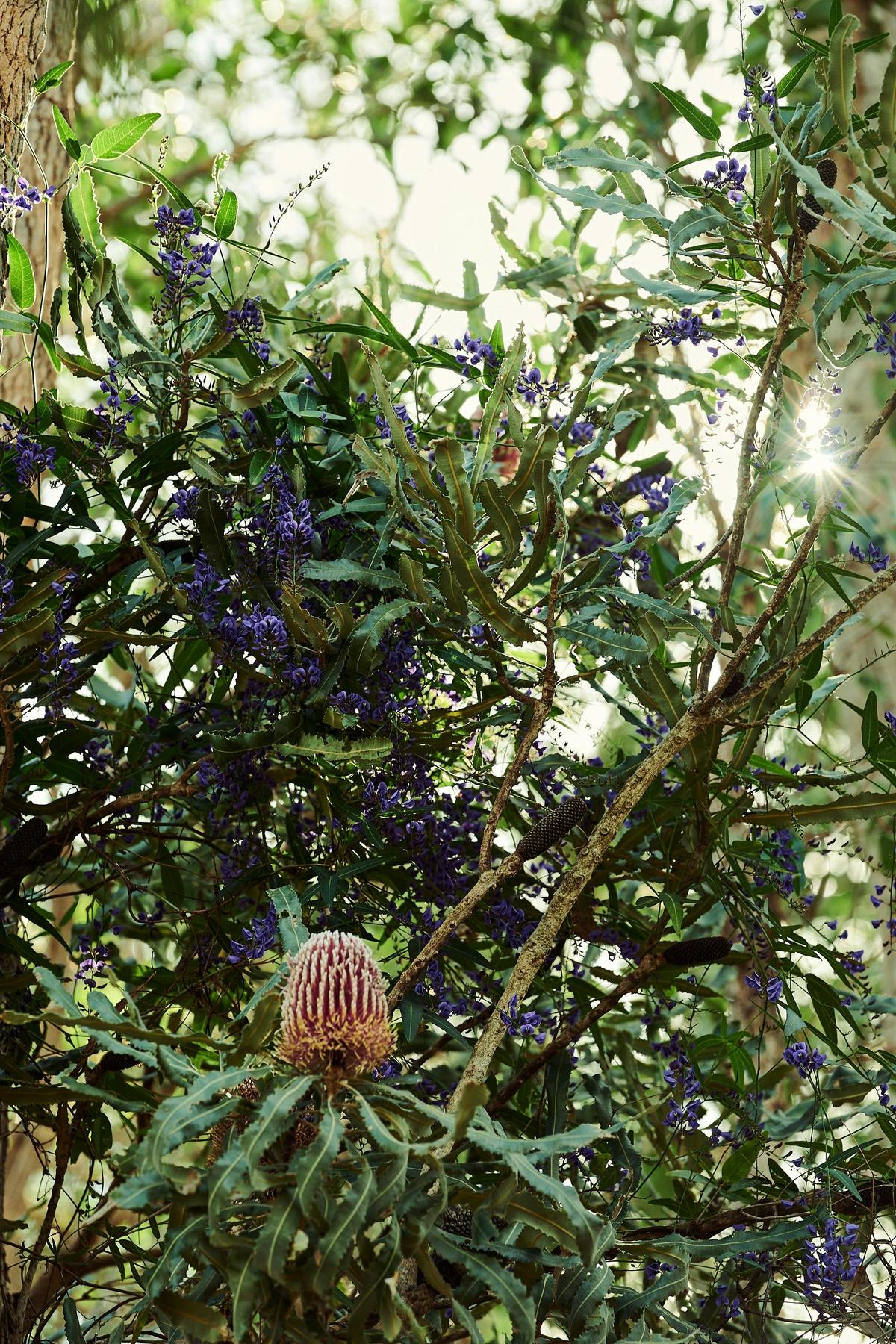 Don Shepherd Nature Trail