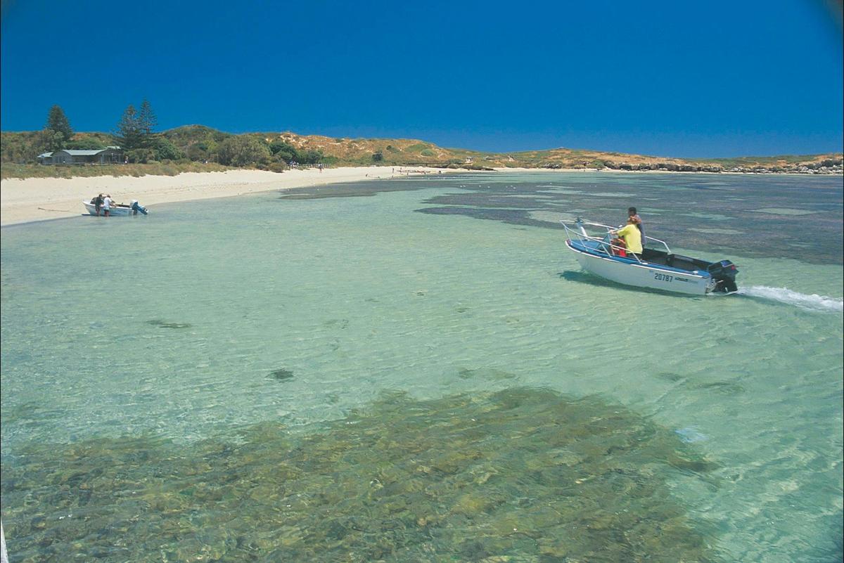 Penguin Island, Western Australia