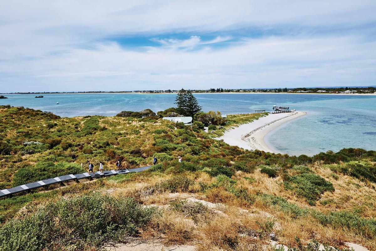 Penguin Island, Shoalwater Islands Marine Park