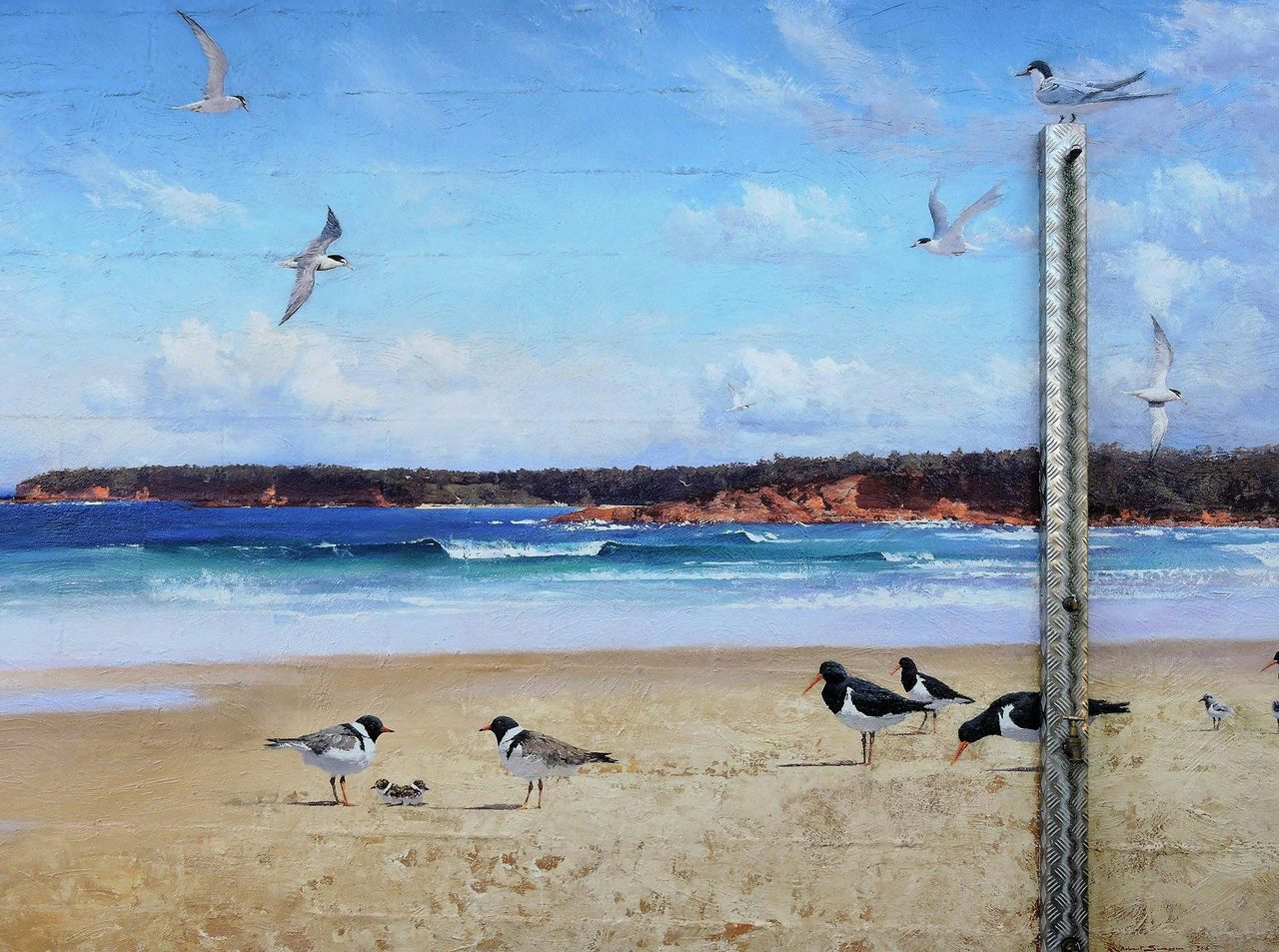 Shoalhaven Tourism