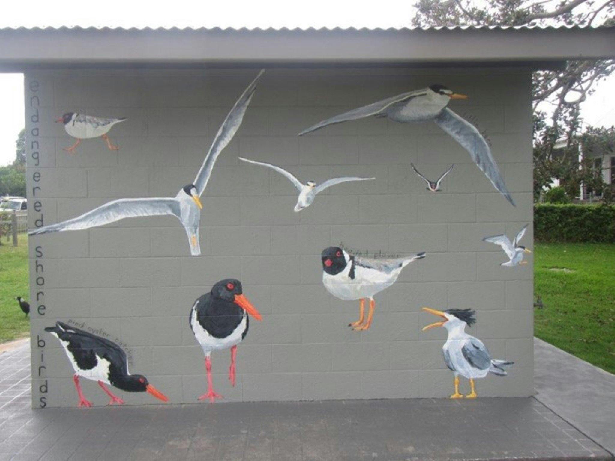 Currarong  Dolphin Reserve - Artist Robyn Gibson