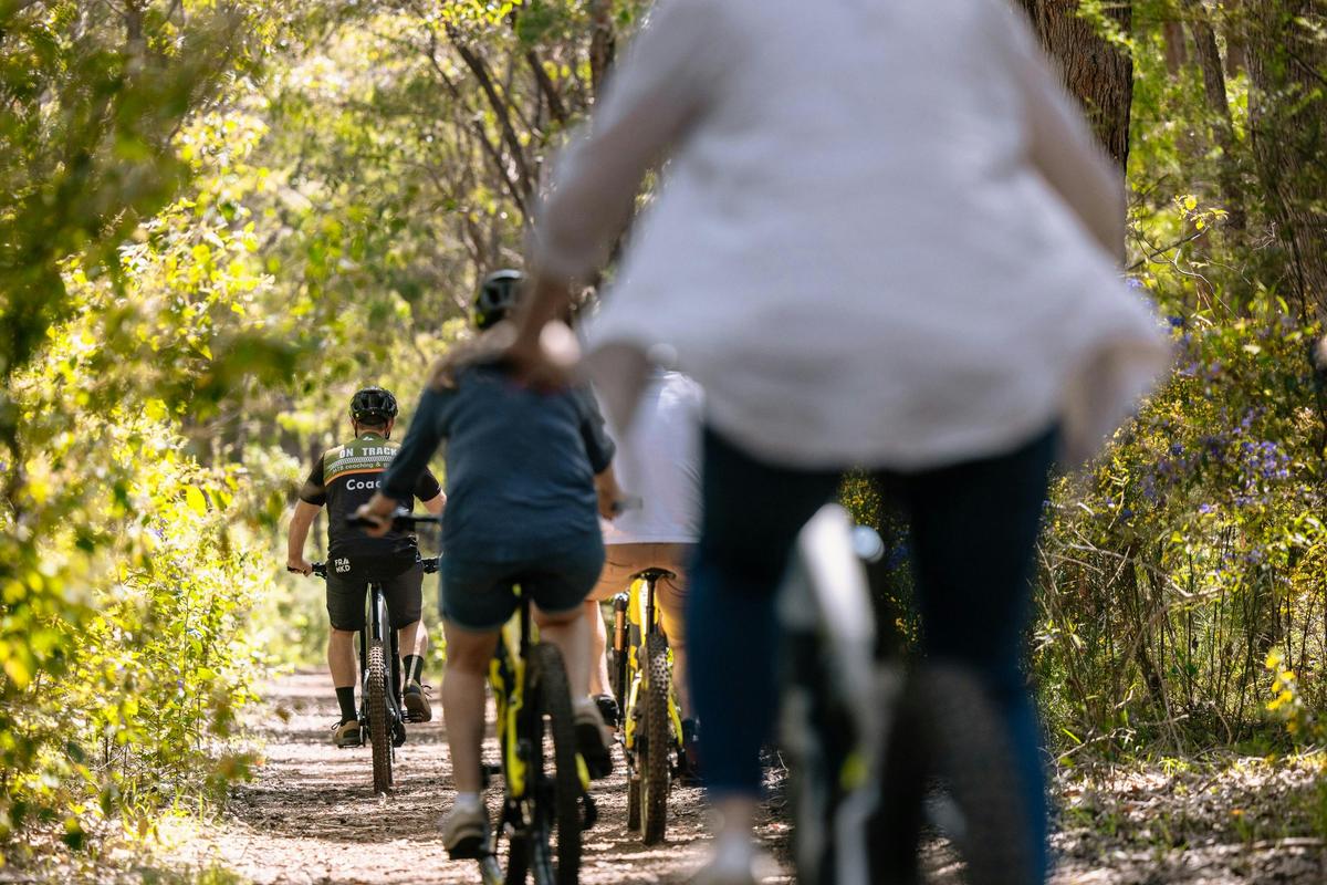 Group riding the Wadandi Track