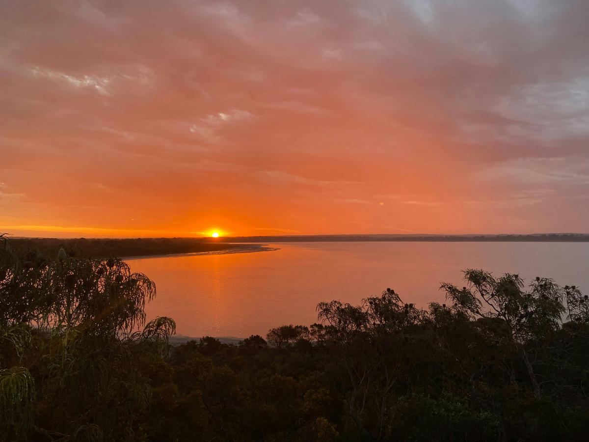 Pink lake sunset