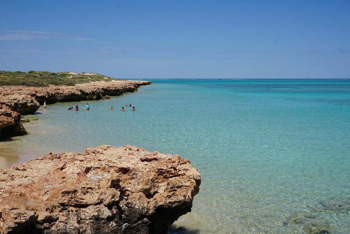 Beach near Osprey Bay Campground