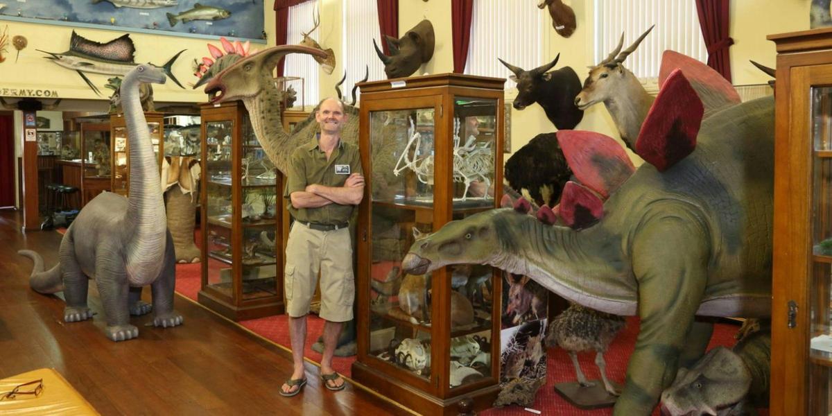 Museum of Natural History and Academy of Taxidermy