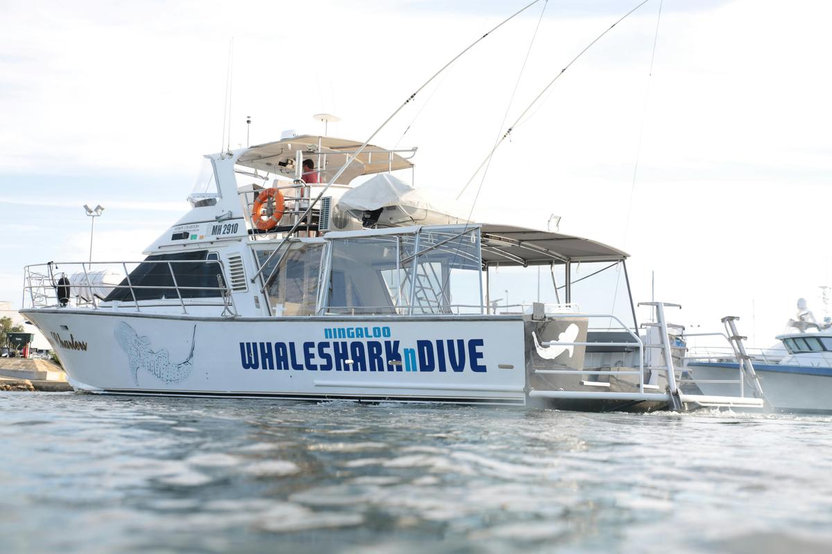 Ningaloo Whale Shark n Dive Vessel