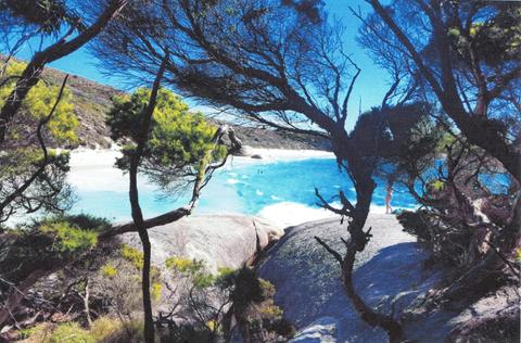 South Coast Adventure: Tour from Pemberton to Albany – 5 Days
