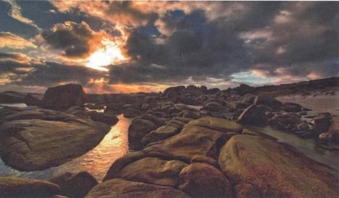 South Coast Adventure: Tour from Pemberton to Albany – 5 Days