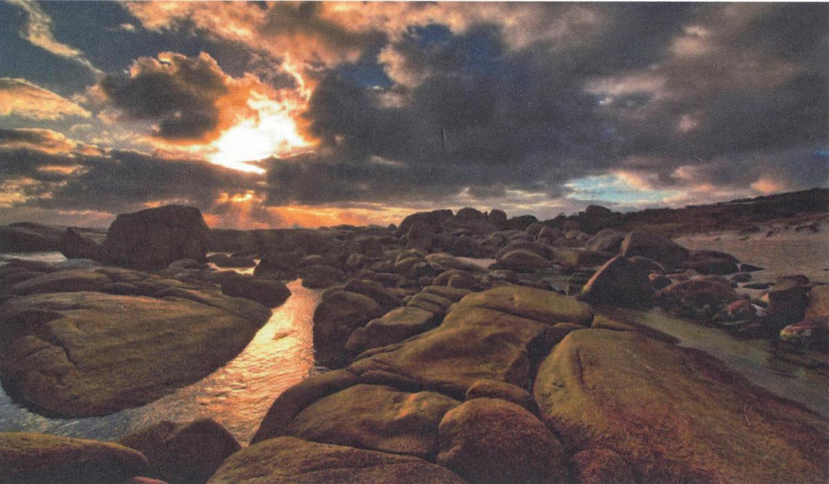 South Coast Adventure: Tour from Pemberton to Albany – 5 Days