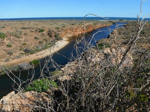 Ningaloo Reef to Range Tours