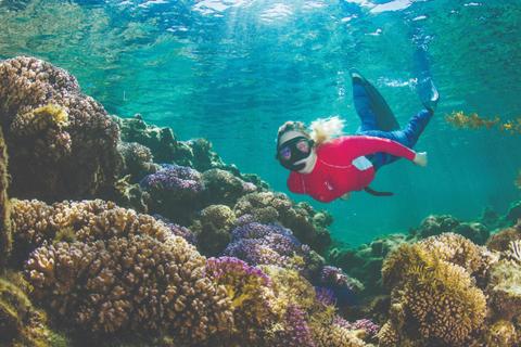 Rottnest Snorkel